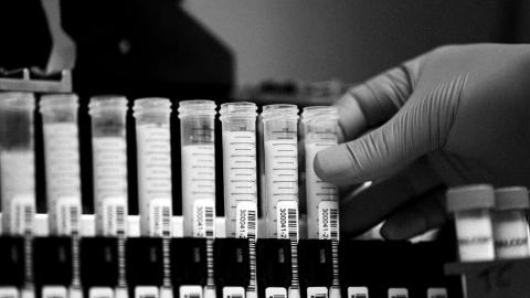 America Has Been Lucky on Bird Flu — So Far