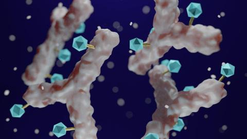 Early use of sotrovimab may protect against long COVID