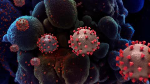 COVID may put patients at risk for other infections for at least 1 year