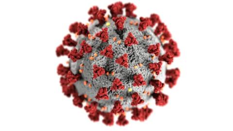 Is COVID quietly sabotaging our immune systems?