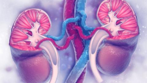 Research links COVID to poor kidney outcomes in US youth
