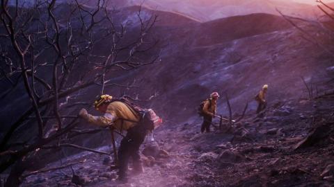 Searching for my elderly patients after the Los Angeles wildfires