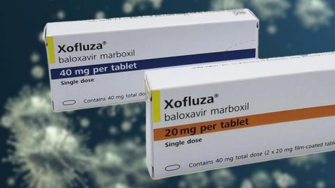 Study: Baloxavir cuts household influenza transmission by 29%