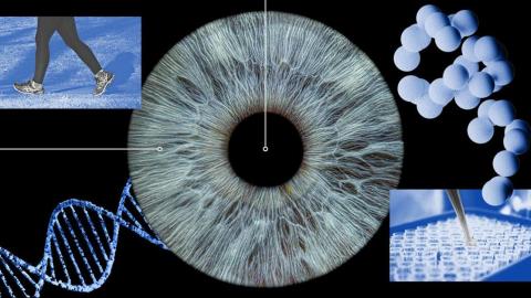 Four promising breakthroughs that could bolster Canada’s health sector