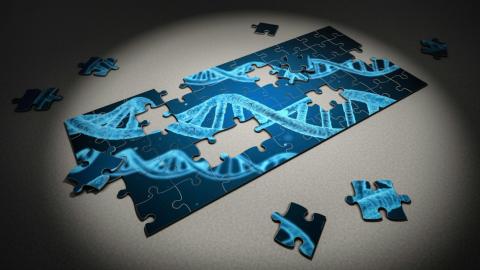 A golden era for personalized medicine is approaching, but are we ready?