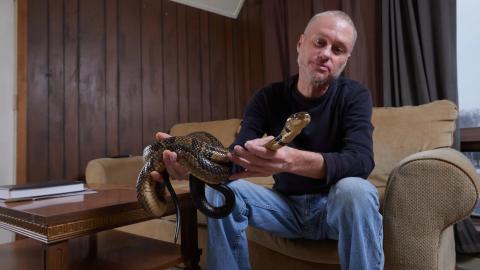 Universal Antivenom May Grow Out of Man Who Let Snakes Bite Him 200 Times