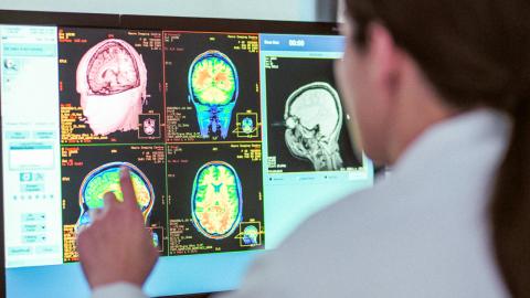 Mysterious brain diseases in New Brunswick weren’t a mystery after all