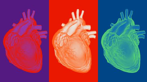 Treating heart failure to help heal health system
