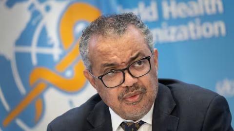 WHO cuts management team in half, scales back operations
