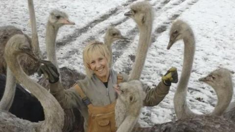B.C. district wants avian flu testing on ostriches facing cull