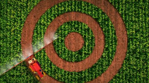 RFK Jr.'s next target is the common weedkiller glyphosate