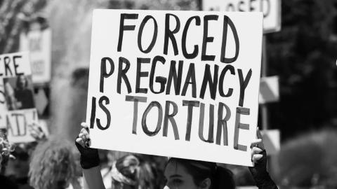 We’re Just Human Incubators to Them