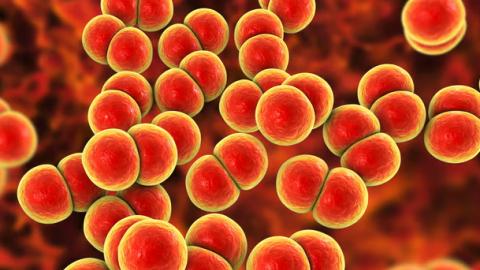 ‘World-first’ gonorrhoea vaccine to be rolled out in England