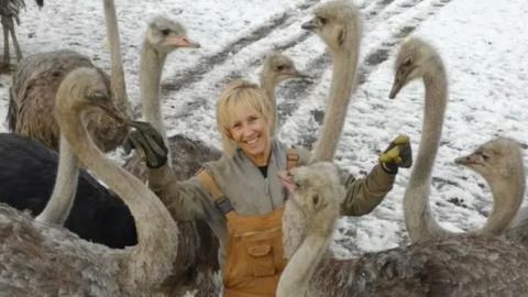 Over 300 ostriches to be put to death. They may not even be sick