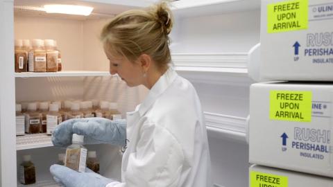 How much does your gut health impact your overall health? A lot, doctors say