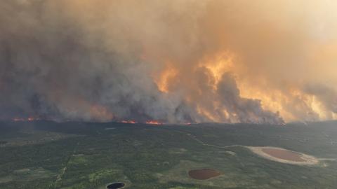 Do you know about the health damage long-term wildfire smoke exposure can cause?
