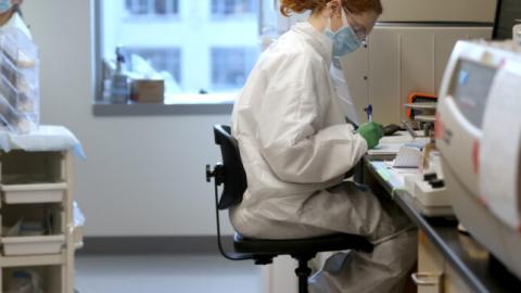 Measles surveillance network tries public fundraising after Trump cuts
