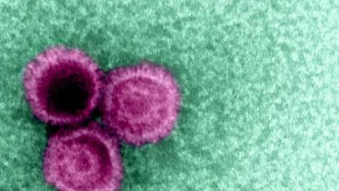 A silent virus might be causing major diseases