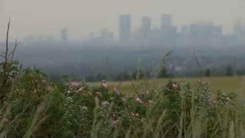 Wildfire smoke carries short- and long-term health risks, Alberta experts warn