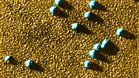 Shining a Light on the World of Tiny Proteins