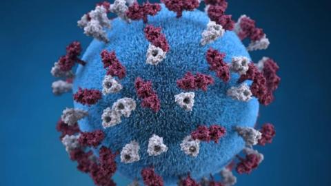 Alberta's measles outbreaks are now the worst in nearly half a century