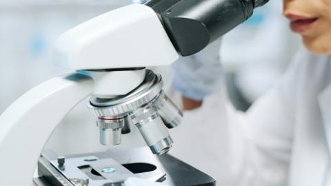 New study adds to evidence that glyphosate weed killer can cause cancer