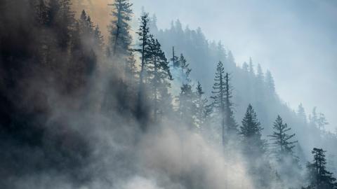 Rescuing summer holidays from the clutches of climate change