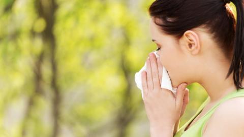 Climate change is prolonging allergy season