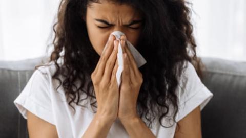 Swarms of tiny nose robots could clear infected sinuses, researchers say