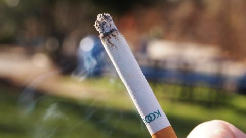 France to ban smoking in parks, beaches, and near schools