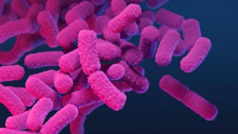 Canadian hospitals seeing exponential increase in superbugs