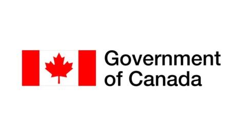 Summary of Engagement on Improving Canada's Medical Countermeasure Readiness for Health Emergencies