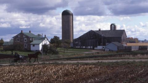 Behind the Scenes of Ontario's Mennonite Measles Outbreak