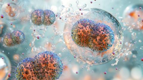 UK begins gonorrhea vaccination program