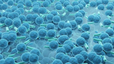 FDA fast-tracks antibody treatment targeting bacterial biofilms