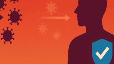 Yes, COVID Vaccines Do Slow Transmission