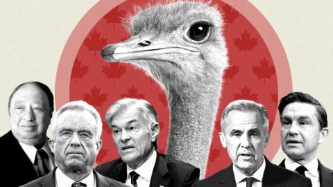 How a flock of Canadian ostriches became a favorite MAHA cause