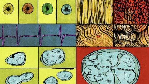 Genetically Engineered Babies Are Banned. Tech Titans Are Trying to Make One Anyway.