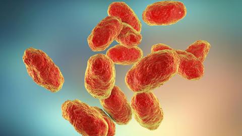 Hospitals warned about rare infection emerging in Calgary