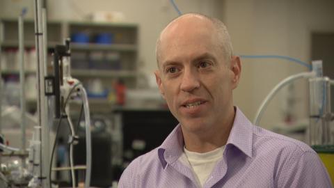 Could a simple diet change prevent a heart attack? A Mount Allison professor is using fish to find out