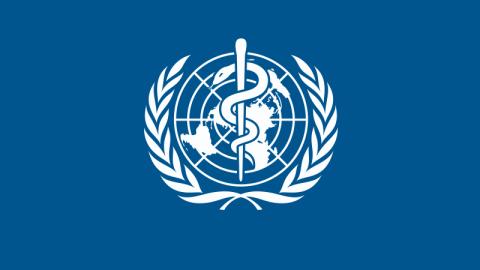 Statement – WHO/Europe: Ebola risk remains low ahead of the Football World Cup