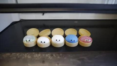 A Canadian dad raised concerns about toxic chemicals in viral ‘squishy dumpling’ toys. So we tested them at a lab