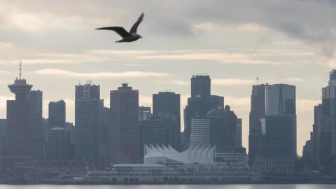 Margareta Dovgal: Vancouver fatality a tragic reminder of B.C.'s health system failures