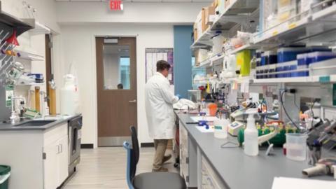 Emory University team explores promising new therapy for childhood leukemia with fewer toxic effects