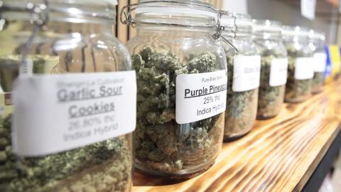 Cannabis commercialisation not decriminalisation drives up usage, study finds