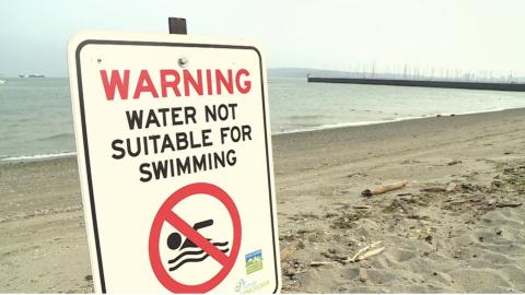 No swimming at several Vancouver beaches due to E.coli