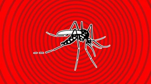 How Concerned Should We be About the West Nile Virus in Canada?