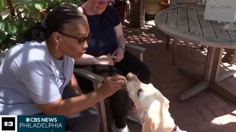 How dogs are helping aphasia patients improve their ability to speak: ‘This is the best thing ever’