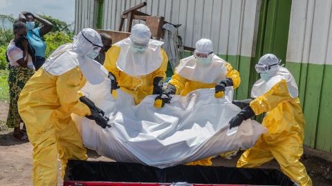 Not if, but when: What could cause the next global pandemic?