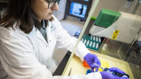 Ticks are a growing threat. So why did federal funding for a Lyme research group end?